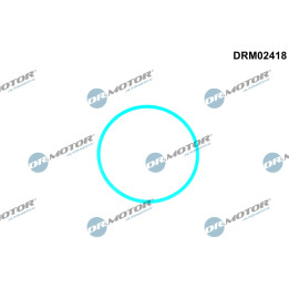 Uszczelka pompy paliwa Dr.Motor Automotive DRM02418