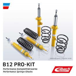 Zestaw zawieszenia sprężyna i amortyzator EIBACH E90-84-006-02-22
