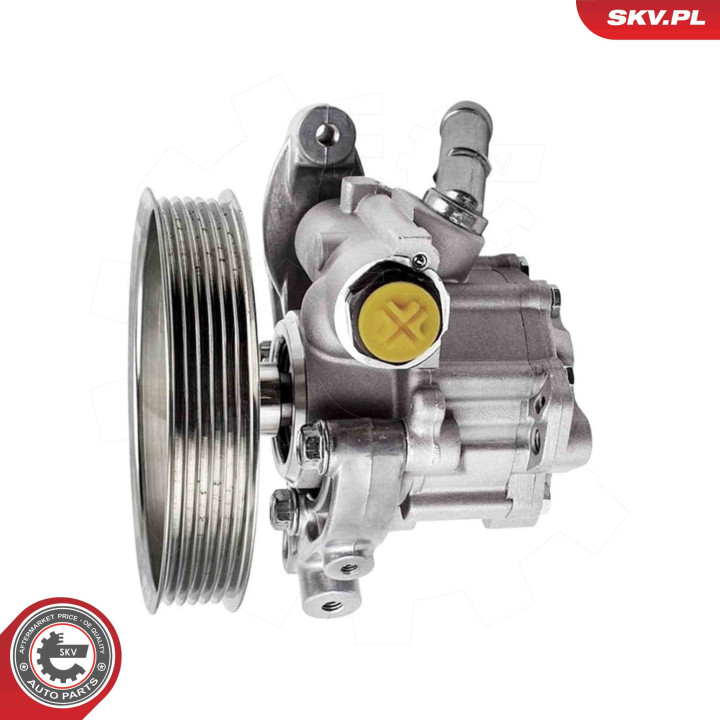 Pompa wspomagania ESEN SKV 10SKV317
