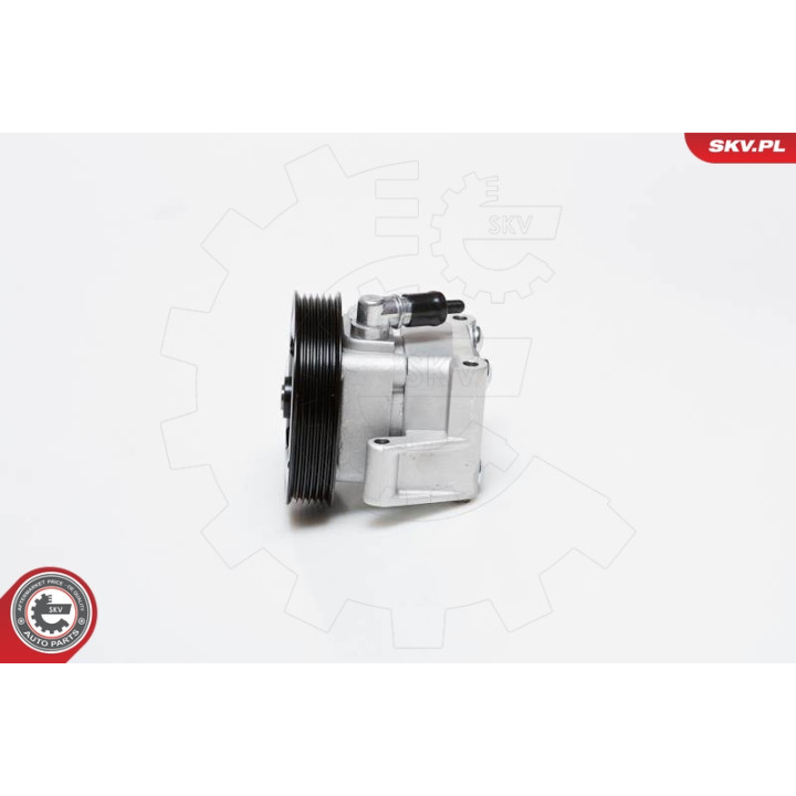 Pompa wspomagania ESEN SKV 10SKV091