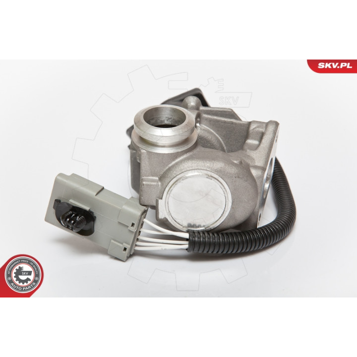 Zawór spalin EGR ESEN SKV 14SKV067