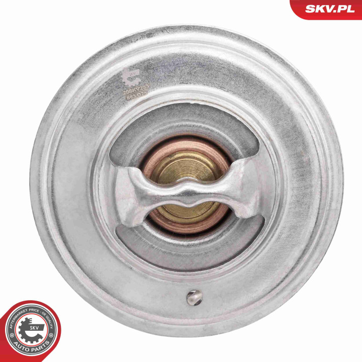 Termostat ESEN SKV 20SKV253