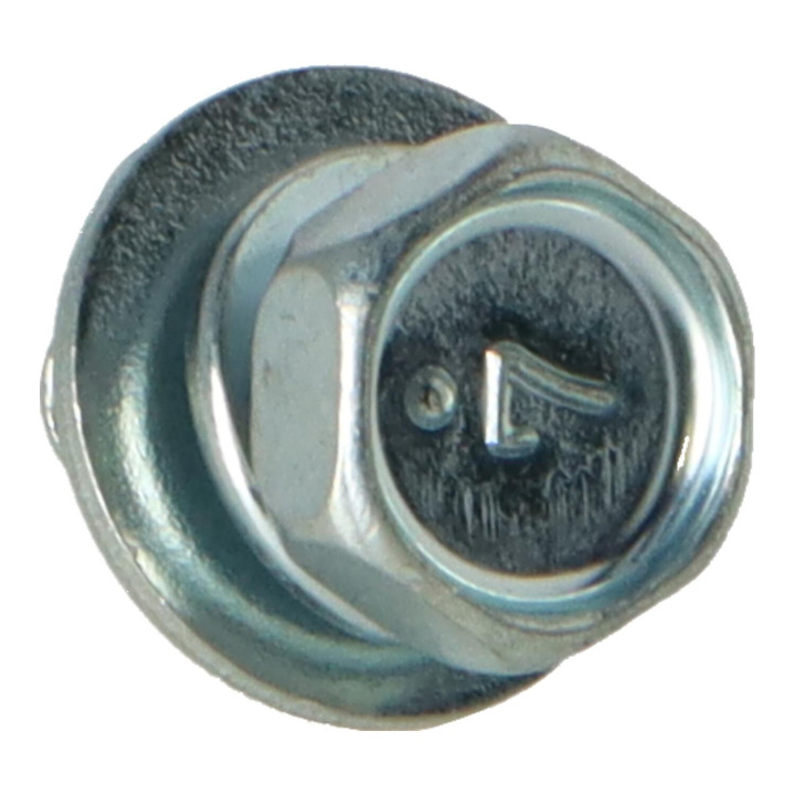 Flange screw Volvo (30741327)