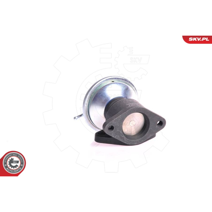 Zawór spalin EGR ESEN SKV 14SKV001