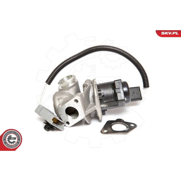 Zawór spalin EGR ESEN SKV 14SKV071