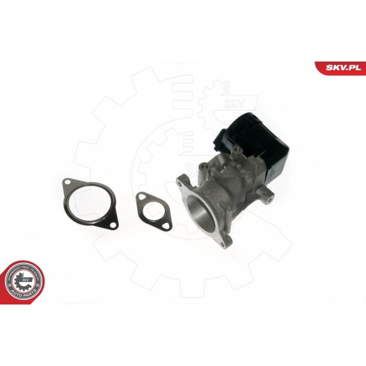 Zawór spalin EGR ESEN SKV 14SKV057
