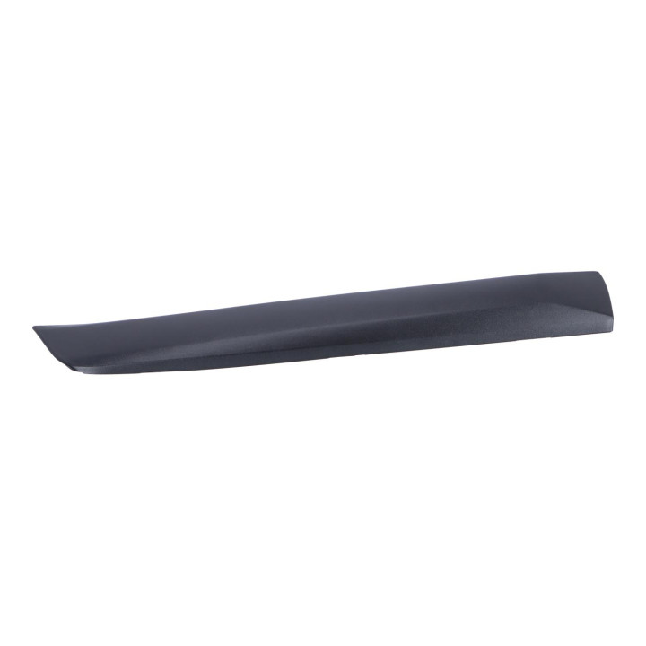 Trim moulding Volvo (39821351)