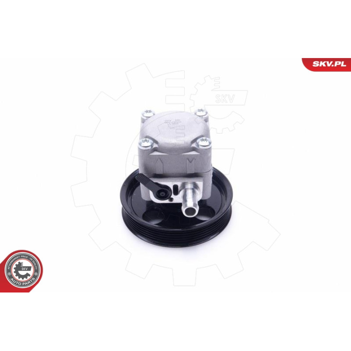 Pompa wspomagania ESEN SKV 10SKV293