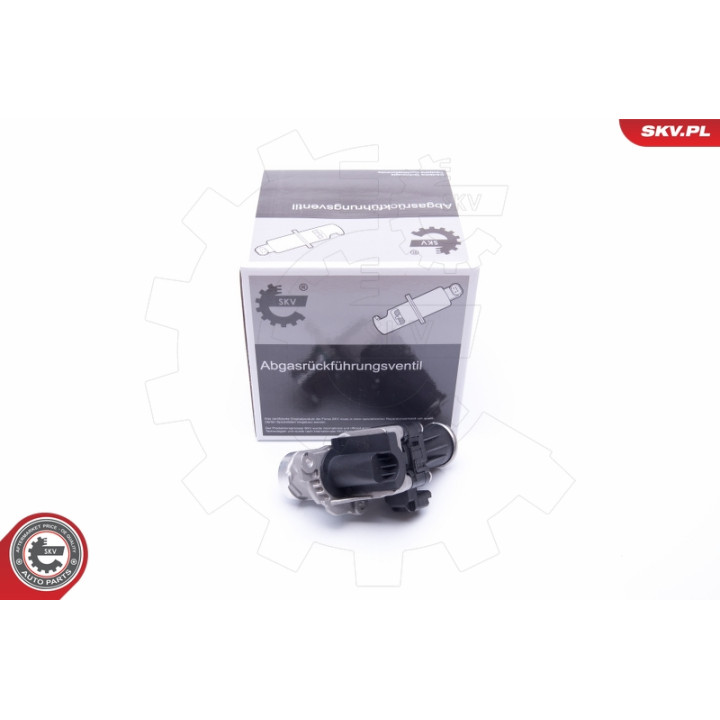 Zawór spalin EGR ESEN SKV 14SKV185
