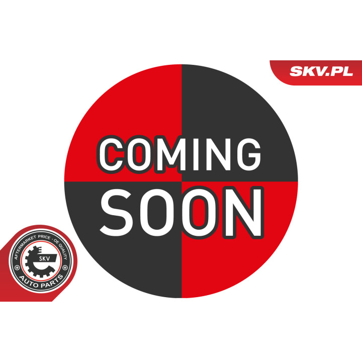 Korek wlewu oleju ESEN SKV 61SKV050