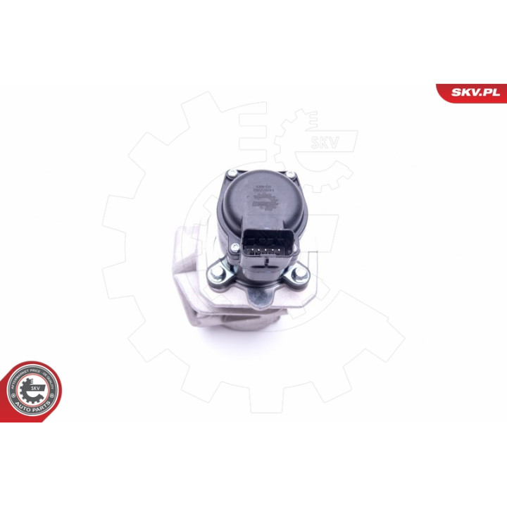 Zawór spalin EGR ESEN SKV 14SKV202