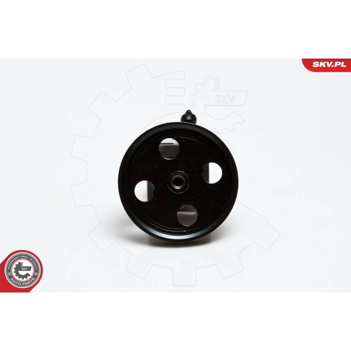 Pompa wspomagania ESEN SKV 10SKV176