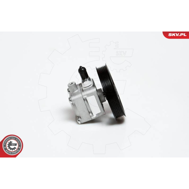 Pompa wspomagania ESEN SKV 10SKV176