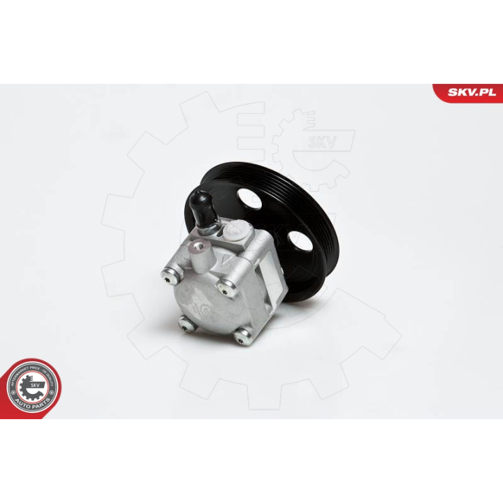 Pompa wspomagania ESEN SKV 10SKV176