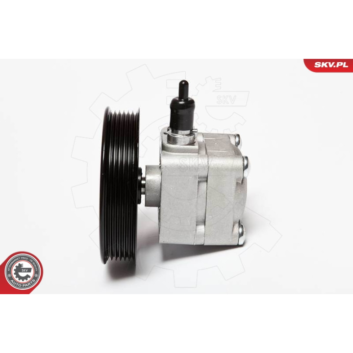 Pompa wspomagania ESEN SKV 10SKV010