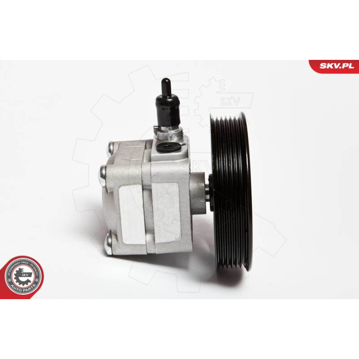 Pompa wspomagania ESEN SKV 10SKV010