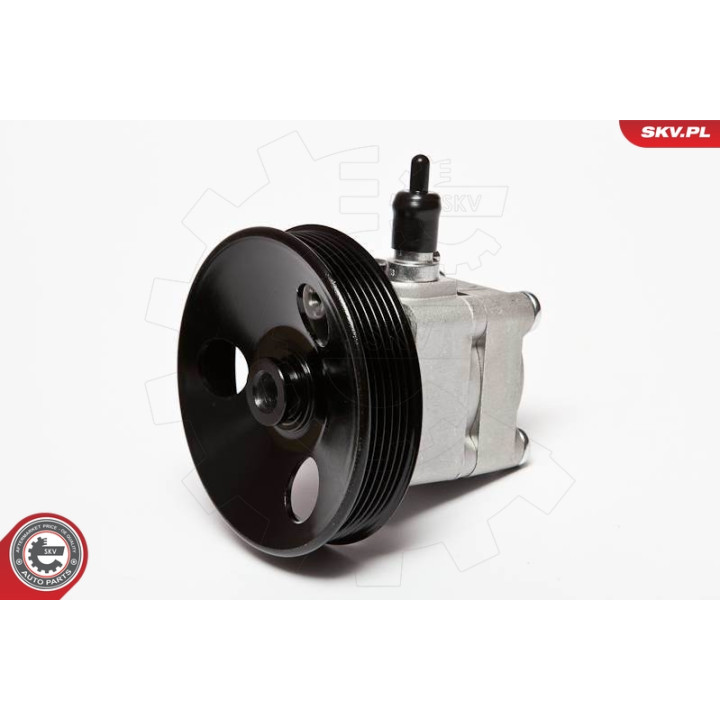 Pompa wspomagania ESEN SKV 10SKV010