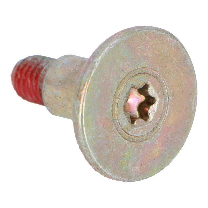 Shoulder screw Volvo (9131750)