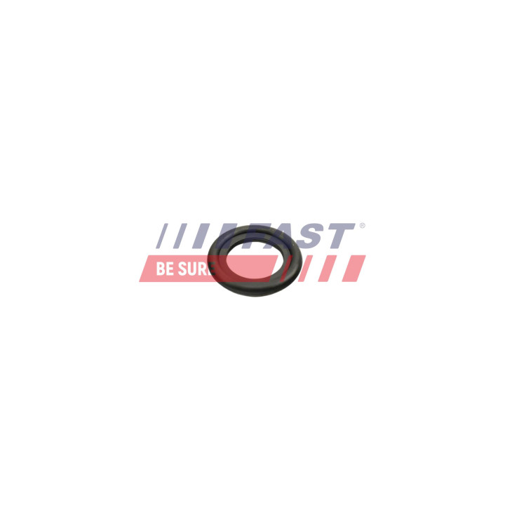 Uszczelka korka spustu oleju FAST FT49860