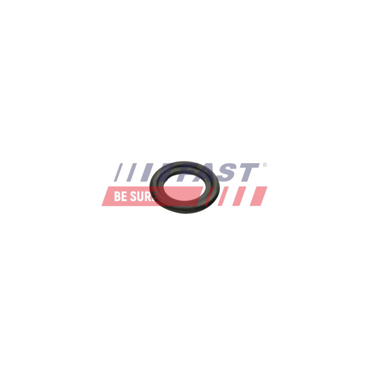 Uszczelka korka spustu oleju FAST FT49860