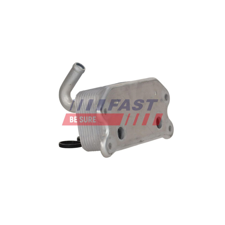 Chłodnica oleju silnika FAST FT04697