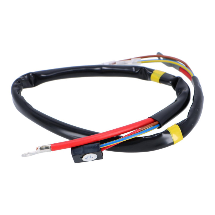 Wiring harness Volvo (1308904)