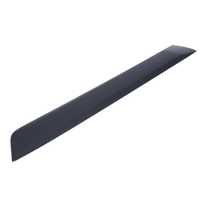Trim moulding Volvo (39821335)
