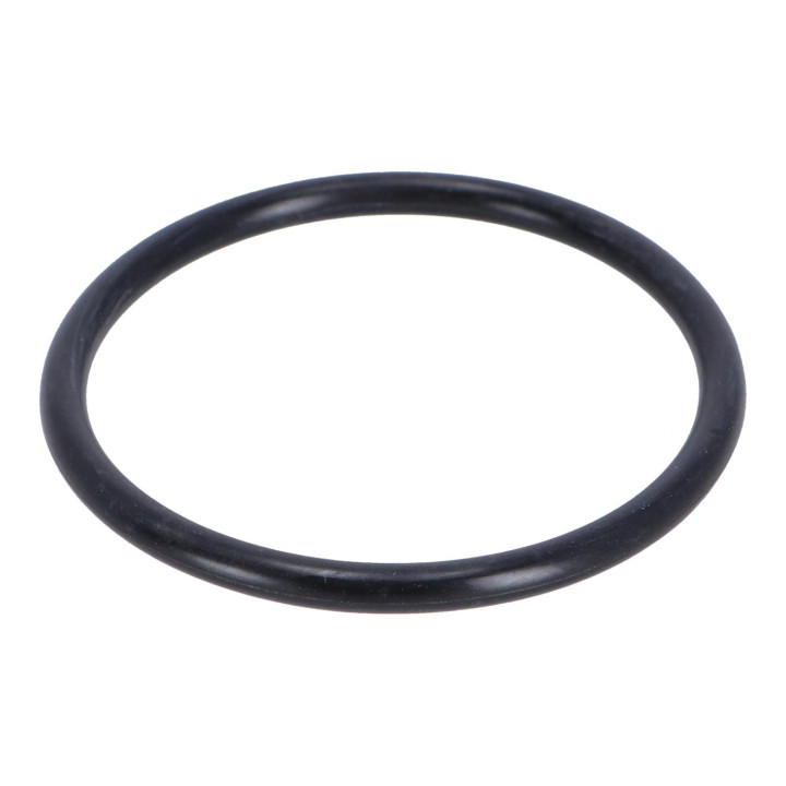 O-ring Volvo (1389084)