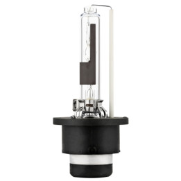 Żarówka reflektora świateł przednich HELLA 8GS 242 632-311