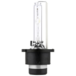 Żarówka reflektora świateł przednich HELLA 8GS 242 632-301