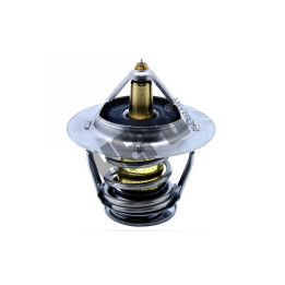 Termostat HEPU TM1284
