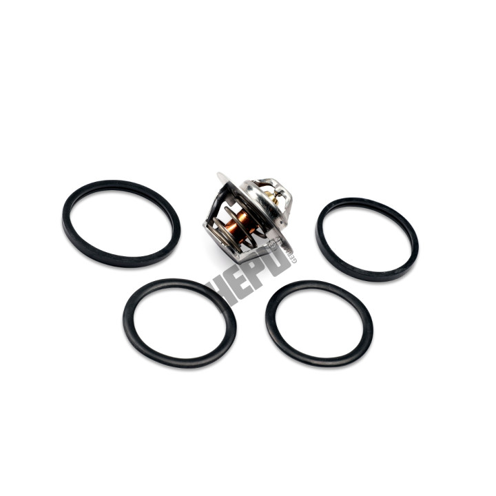 Termostat HEPU TM1291