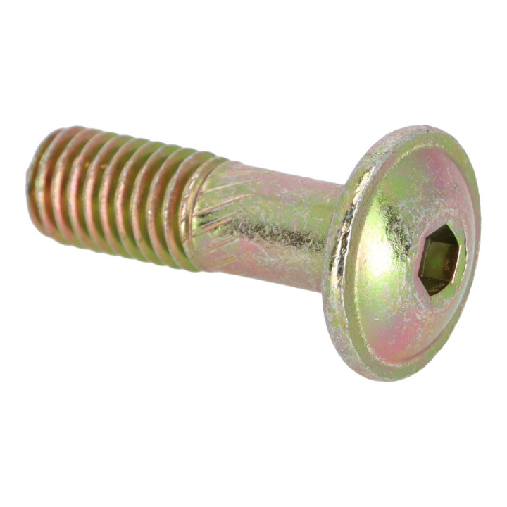 Screw Volvo (1367225)