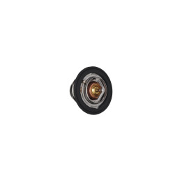 Termostat KAMOKA 7710091