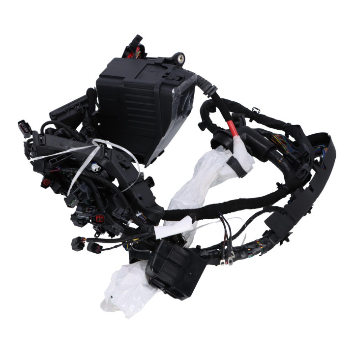 Wiring harness Volvo (31260010)