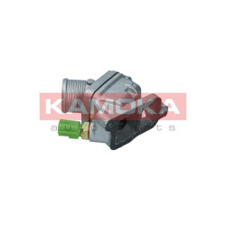Termostat KAMOKA 7710158