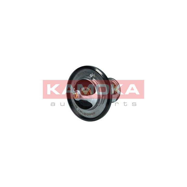 Termostat KAMOKA 7710067