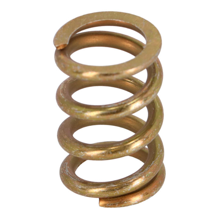 Compression spring Volvo (1321081)