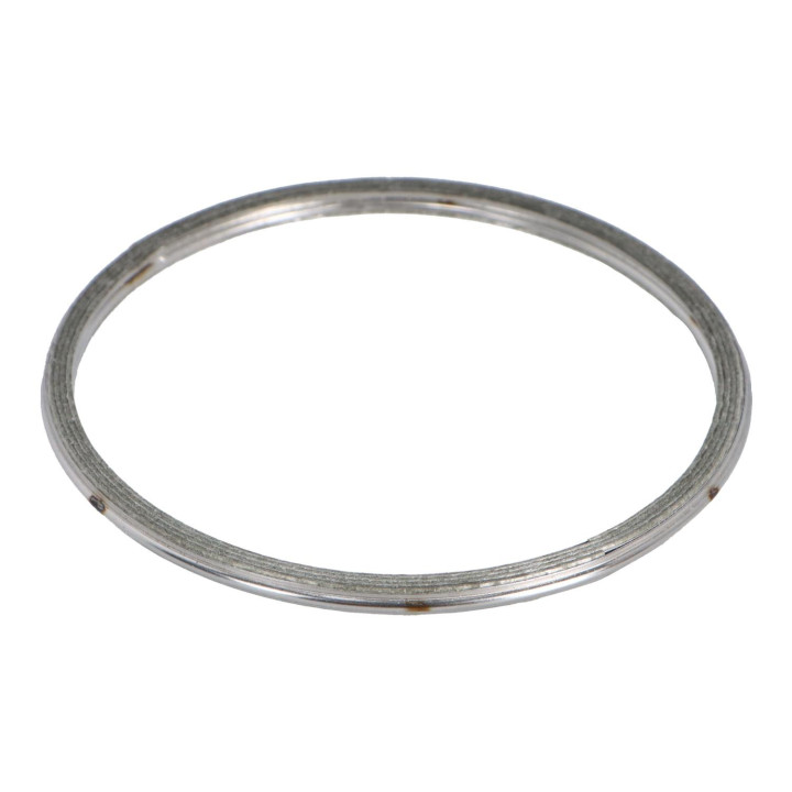 Gasket Volvo (30731471)