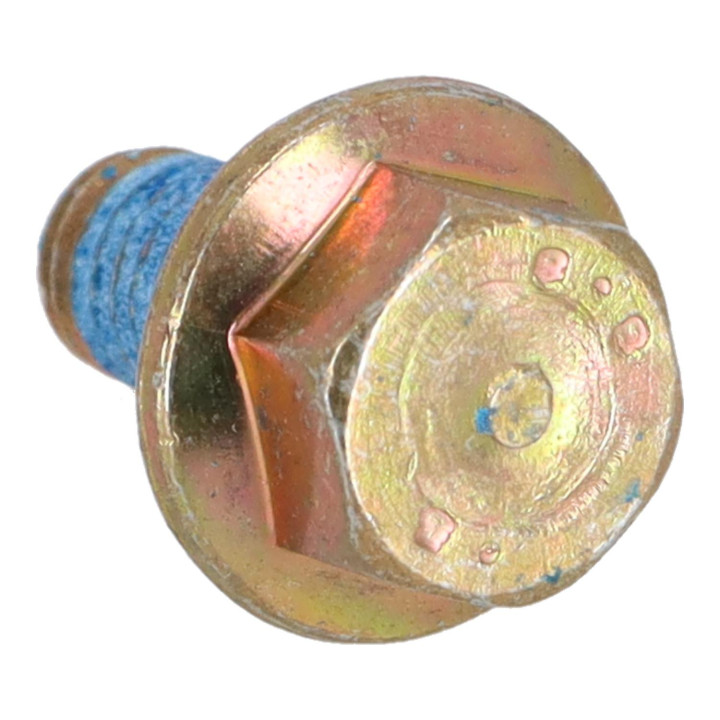 Flange screw Volvo (3923148)