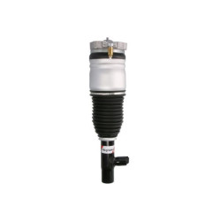 Amortyzator pneumatyczny Magnum Technology APV002MT