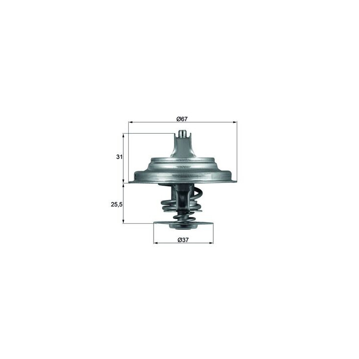 Termostat MAHLE TX 25 71D