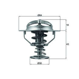 Termostat MAHLE TX 114 82D