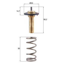 Termostat MAHLE TX 265 89D