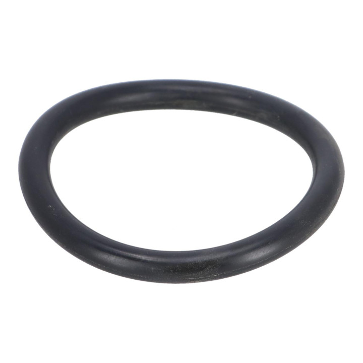Sealing ring Volvo (30815455)